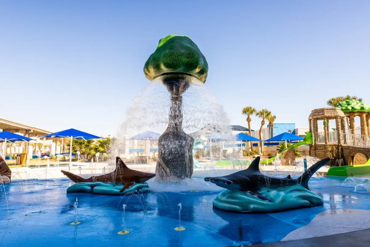 Texas-State-Aquarium17-1
