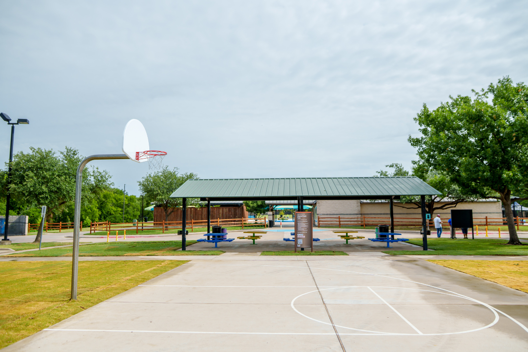 WFP-19